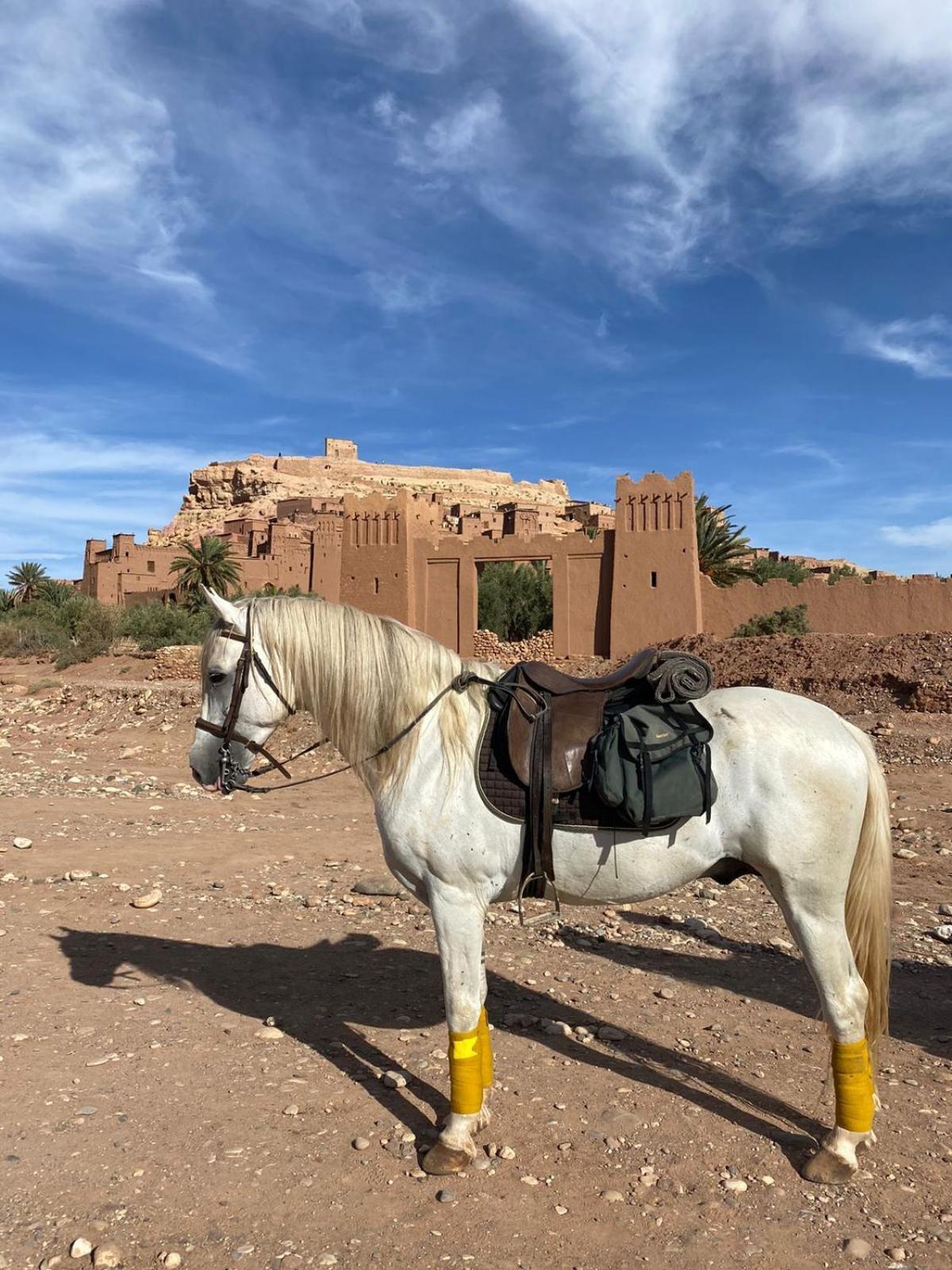 Taman'Art Space Ait Benhaddou Luaran gambar